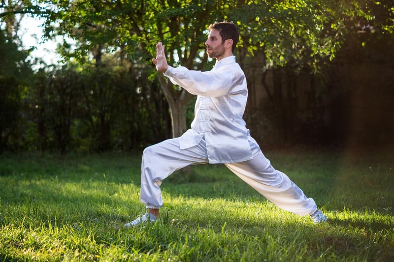 Sun Style Tai Chi Meditation